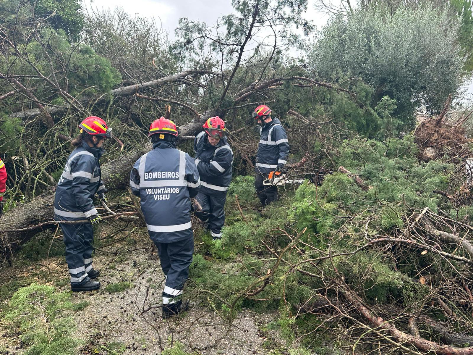 Bombeiros Voluntários da sub-região de Viseu Dão Lafões apoiam populações em Coimbra e Leiria