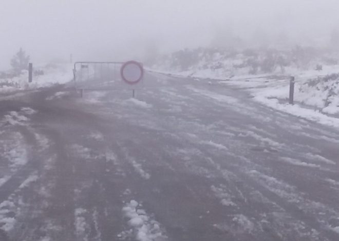 Município de Viseu encerra parques municipais devido a aviso vermelho do IPMA