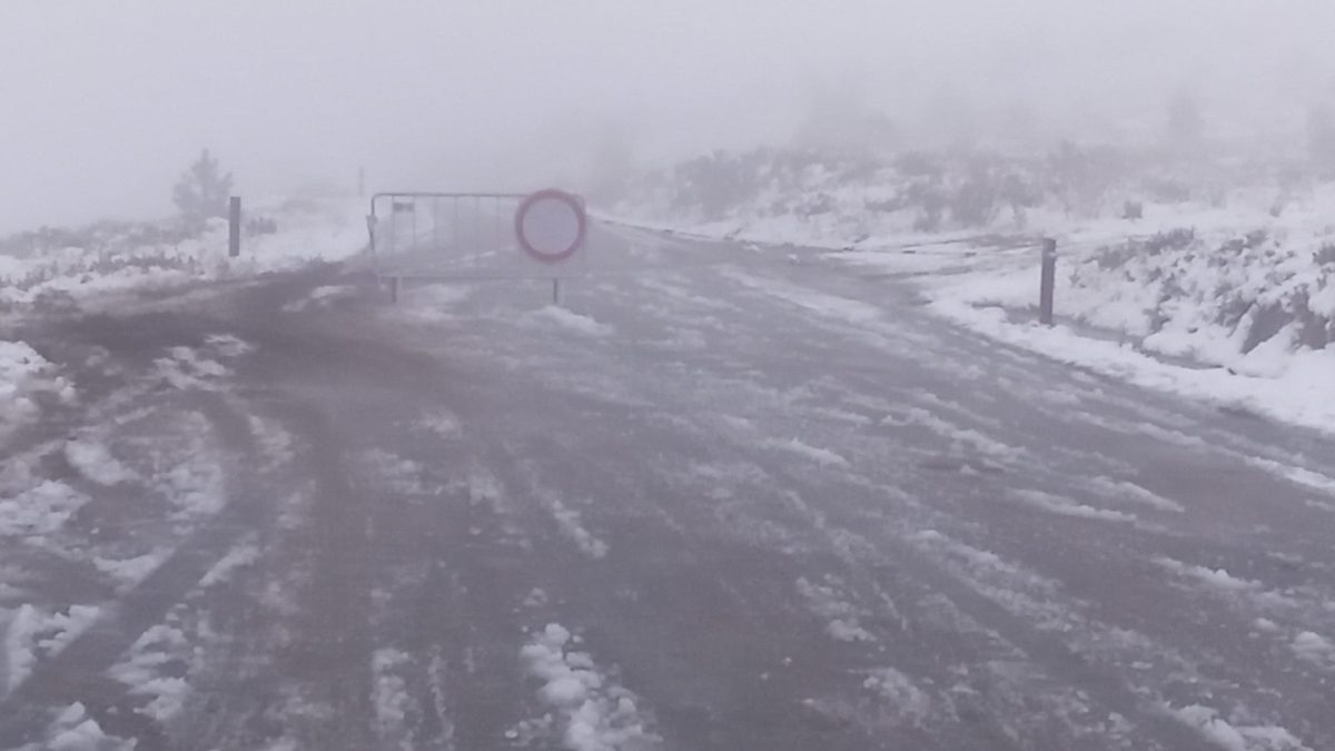 Município de Viseu encerra parques municipais devido a aviso vermelho do IPMA