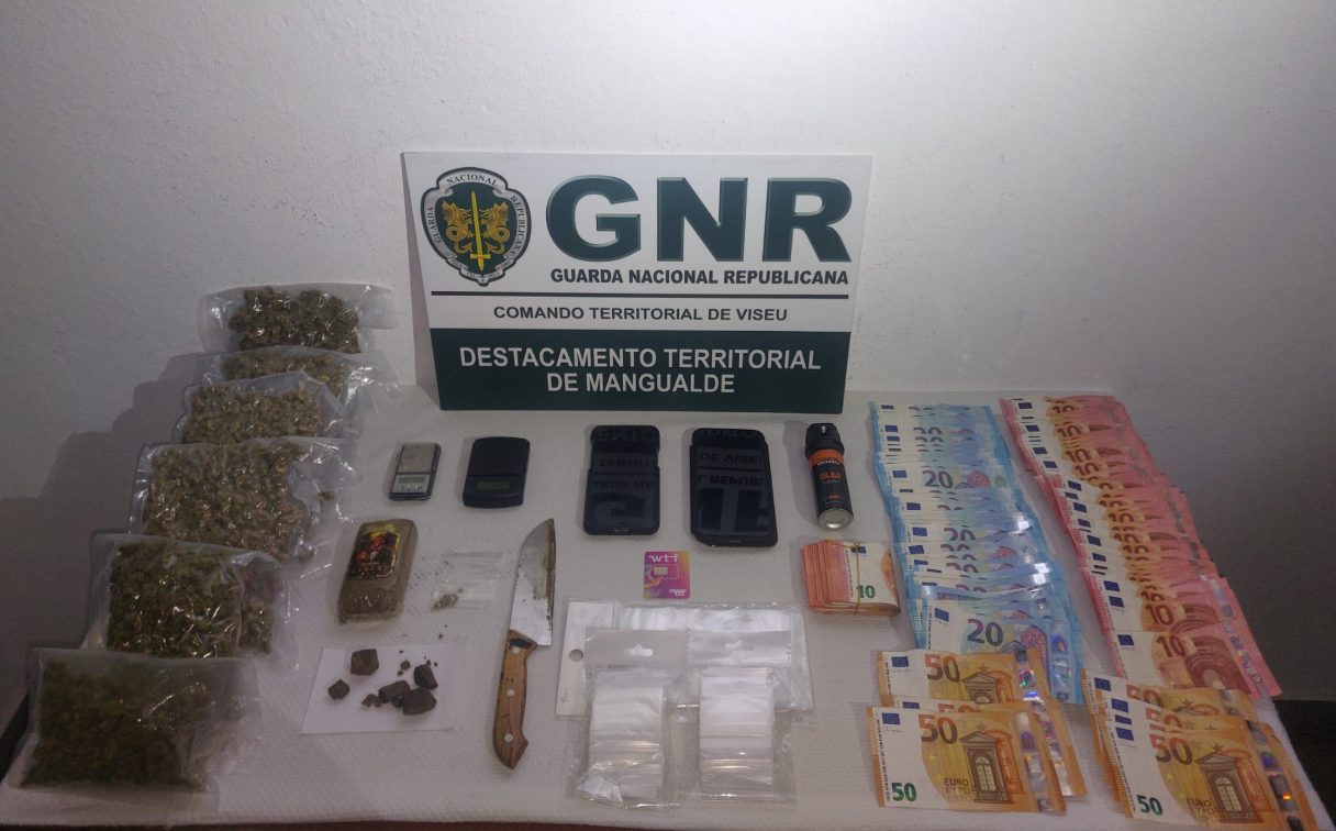 Dois jovens detidos por tráfico de droga e posse de arma proibida em Nelas