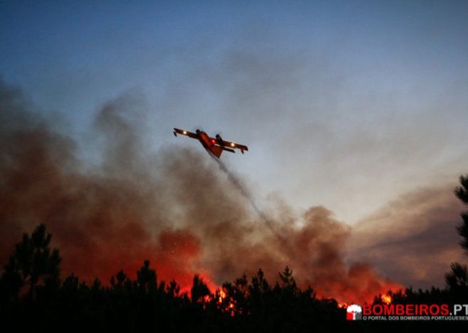 VISEU ACOLHEU MEIOS NACIONAIS E INTERNACIONAIS DE COMBATE A INCÊNDIOS RURAIS