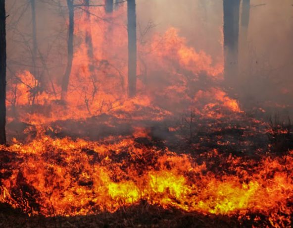 TEMPERATURAS A SUBIR E INCÊNDIOS QUE PREOCUPAM